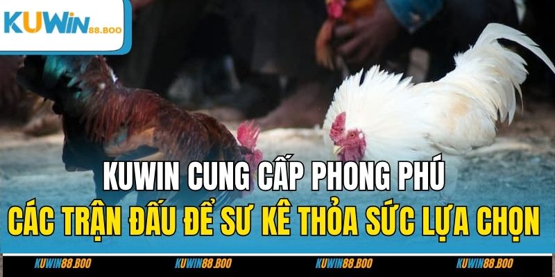 KUWIN cung cấp phong phú các trận đấu để người chơi thỏa sức lựa chọn 