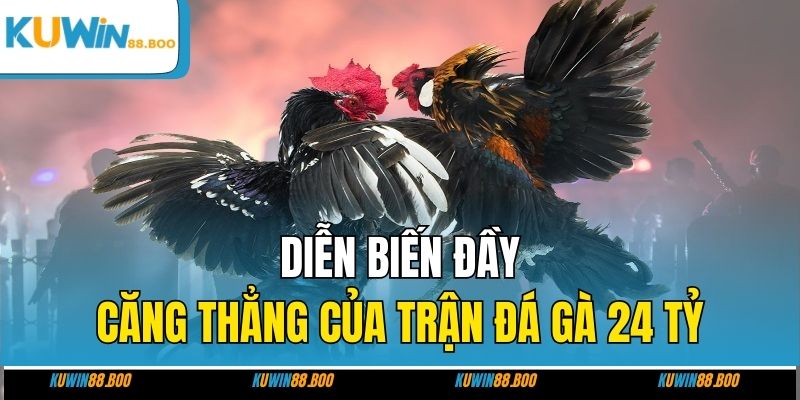 Diễn biến đầy căng thẳng của trận đá gà 24 tỷ