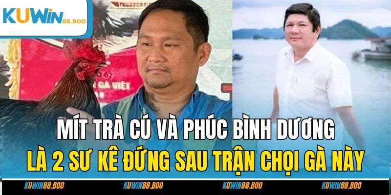 Mít Trà Cú và Phúc Bình Dương là 2 sư kê đứng sau trận chọi gà này