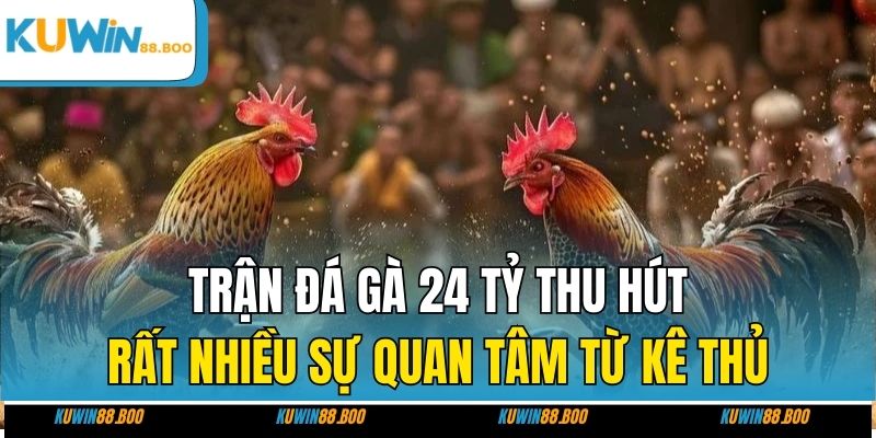 Trận đá gà 24 tỷ thu hút rất nhiều sự quan tâm từ kê thủ